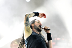 Korn-8