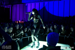 Baboon_Show-Pavillion-DSC_0587-2025