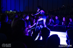 Baboon_Show-Pavillion-DSC_0590-2025